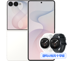 갤럭시 Z 플립8